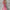 Damen Boho Abendkleid Lang - Sommer Blumenmuster Maxi