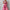 Damen Boho Abendkleid Lang - Sommer Blumenmuster Maxi