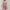 Damen Festliches Kleid Elegant Spitze Dreiviertelarm - Midi