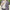 Damen Leichte Strickjacke - Eleganter Cardigan Langarm
