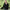 Damen Winter Strick Cardigan - Mütze Damen Look Festlich