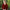 Damen Winter Strickjacke - Knopf Cardigan Langarm