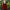 Damen Winter Strickjacke - Knopf Cardigan Langarm