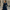 Damen Eleganter Trenchcoat Kleid – Tailliert Langarm
