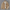 Corduroy Herren Winterjacke warm & stilvoll – Jonas