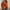 Herren Winter Strickjacke – Grobstrick Knopfleiste