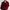 Herren Winter Strickjacke – Grobstrick Knopfleiste