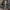 Herren Übergangsjacke Camouflage – Leicht mit Kapuze