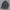 Herren Winter Cord Jacke – Warm Gepolstert