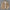 Herren Winter Cord Jacke – Warm Gepolstert