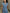 Elegante Businessmode mit taillierter Bluse und Hose – Franziska