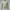 V-Ausschnitt Pullover für jeden Anlass – Franz