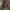 Herbstjacke mit Kapuze und Taschen – Chris