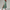Sommerkleid Damen Elegant Bedruckt Leicht Komfort – Serenza