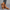 Komfortable orthopädische Sandalen für Damen – Elvoria