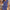 Bluse Damen V-Ausschnitt strukturiert & elegant – Mira