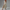 Sommerkleid Damen Elegant Bedruckt Leicht Komfort – Serenza