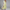 Sommerkleid Damen Elegant Bedruckt Leicht Komfort – Serenza