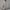 Sommerkleid Damen Elegant Bedruckt Leicht Komfort – Serenza