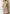 A-Linien Midi Kleid Damen mit Taschen Stil – Nayelise