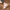 Bequeme Damen Sommer-Sandalen retro Stil – Marisol