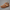 Vielseitige Komfortsandalen für Damen – Avina