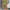 Reiseset Damen figurbetont mit Stretch & Stil – Livia
