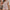 Bluse Damen V-Ausschnitt strukturiert & elegant – Mira