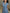 Elegante Businessmode mit taillierter Bluse und Hose – Franziska