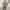 Damen Oversize Strickpullover - Langarm Locker