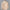Herren Strick Pullover mit Reißverschluss – Grobstrick Langarm