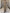 Elegante Businessmode mit taillierter Bluse und Hose – Franziska