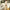 Zweiteiliger Hosenanzug Damen weit & elegant – Livia