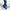 Damen Cropped Hoodie Jogginganzug Set - Wide Leg Loungewear