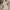 Damen Lange Strickjacke mit Kapuze - Weich Warm