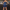Damen Pailletten Cocktailkleid Federn - Party Kleid Mini