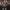 Damen Pailletten Cocktailkleid Federn - Party Kleid Mini