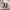 Damen Western Chelsea Boots - Bequem Kurzer Absatz