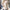 Damen Winter Business Kurzmantel - Tailliert Elegant
