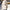 Damen Winter Business Kurzmantel - Tailliert Elegant