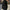 Damen Winter Business Kurzmantel - Tailliert Elegant