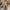 Damen Winter Business Kurzmantel - Tailliert Elegant