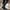 Damen Winter Schnürstiefel Kniehoch - Combat Flach