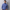 Herren Rollkragen Pullover Strick - Warm Langarm