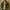 Herren Übergangs Jacke - Camouflage Leichte