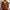 Herren Feinstrick Strickjacke V-Ausschnitt – Slim Fit Knopfleiste