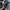 Herren Strickjacke Slim Fit - Stehkragen Knopfleiste