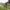 Herren Wasserdichte Chelsea Boots - Rutschfeste Gummistiefel Regenfest