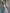 Transparentes Spitzenkleid mit Blumenapplikation – Estelle