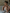 Transparentes Spitzenkleid mit Blumenapplikation – Estelle